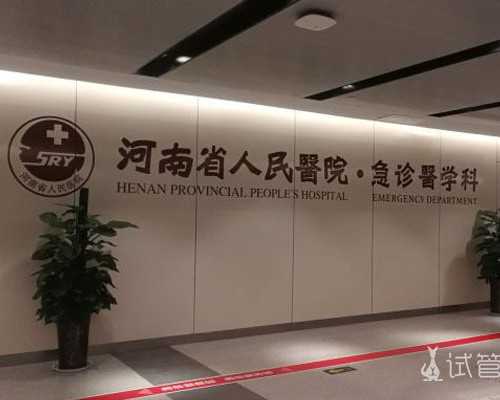 长沙几个助孕公司？,从长沙去美国做三代试管助孕需要注意哪些问题？_代生正