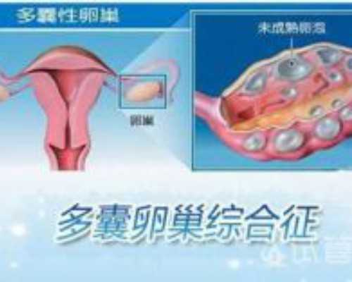 美国梦美HRC美国试管婴儿咨询会昆明场会议剪影-上午场