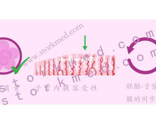 2026 郑州供卵的私立机构最新发布,附供卵三代生男孩费用详情-美国带的iphon