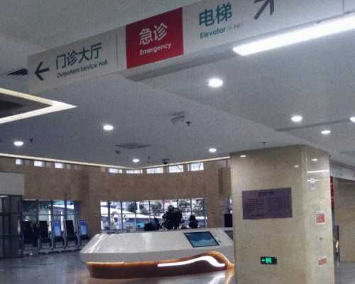 美国代怀中心专家|去美国做试管婴儿：做好赴美前的准备工作和IVF方案制定