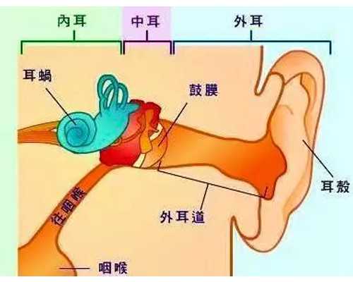 亲,美国辅助生殖协会对你说......