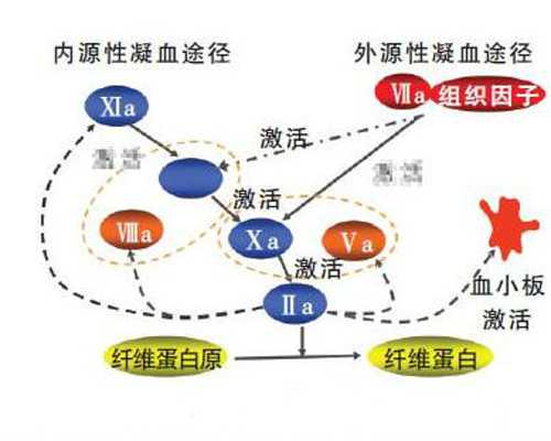 美国梦美HRC美国试管婴儿咨询会南宁场会议剪影-上午场