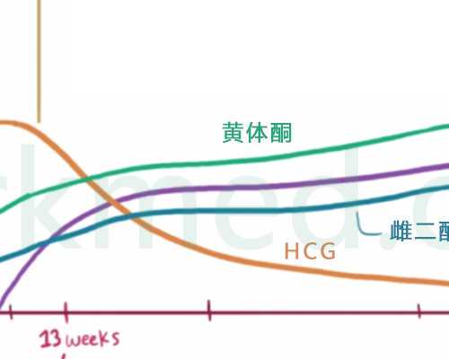 亲，美国辅助生殖协会对你说......-市长千金