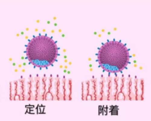美国梦美HRC美国试管婴儿咨询会陕西场会议剪影-上午场