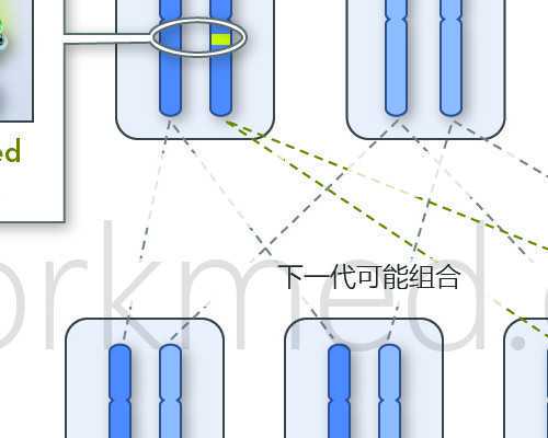 杭州独生子女父母补贴发放细节,梦美生命美国试管婴儿专家团队3月走访城市：