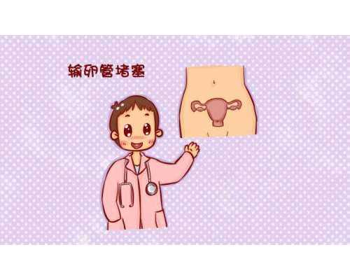 莆田哪里做供卵试管不用等?,从莆田去美国进行三代试管助孕费用一般多少?