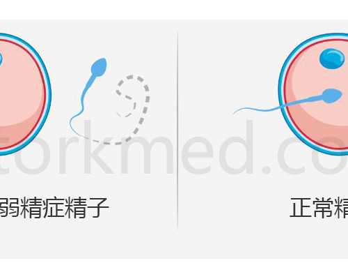 上海靠谱的私立供卵试管医院最新名单,上海可以做供卵试管的医院-美国代孕网