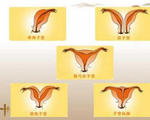 美国梦美HRC美国试管婴儿咨询会浙江场会议剪影-下午场