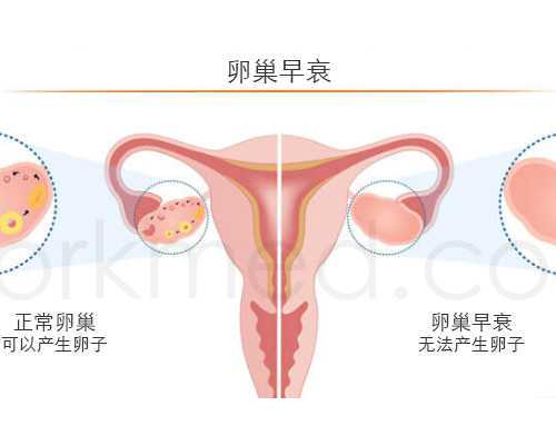 徐州在美国生孩子的医院,徐州红房子医院曹玲仙大夫做试管婴儿的成功率高吗
