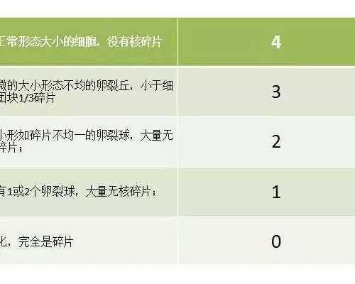 从长沙去美国做三代试管助孕需要注意哪些问题？-海边泳装