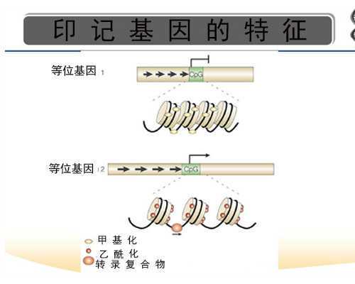 广东去美国生孩子怎么报销,“我真是太疼了！我并没有做错什么啊！”近日河